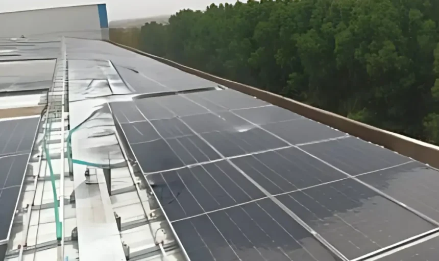 Patel Retail Limited – 1100KW