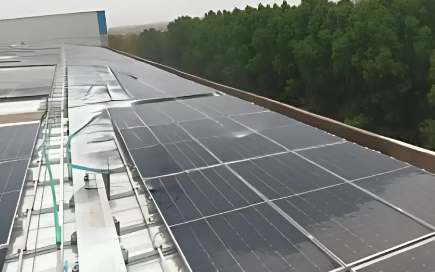 Patel Retail Limited – 1100KW