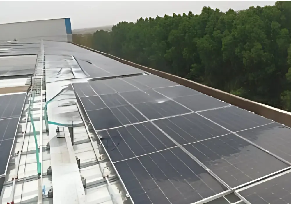 Patel Retail Limited – 1100KW